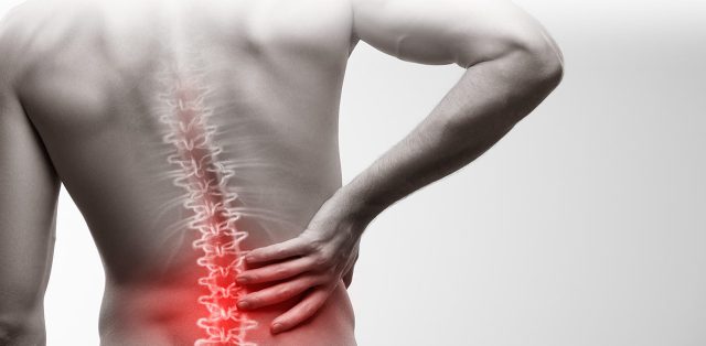 Back Massager Musculoskeletal Pain